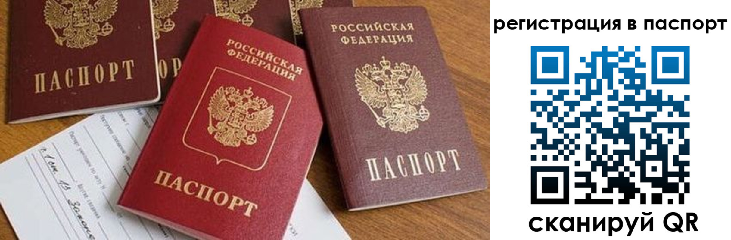 прописка в Новоалександровске